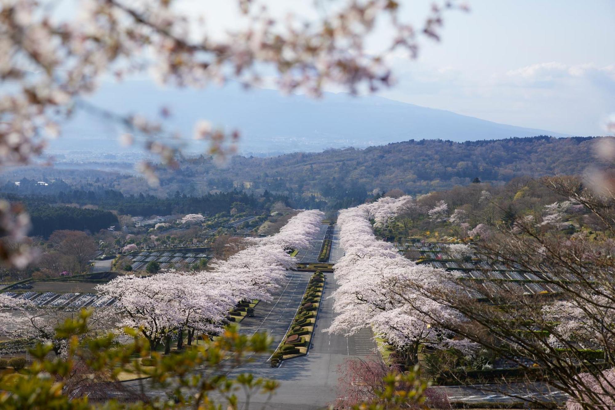 Fuji Speedway Hotel, In The Unbound Collection By Hyatt 오야마 외부 사진
